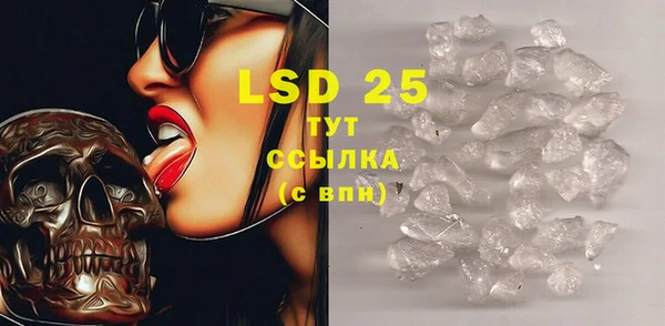 PSILOCYBIN Зерноград