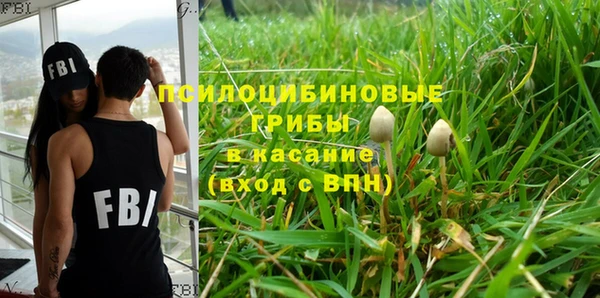 PSILOCYBIN Зерноград
