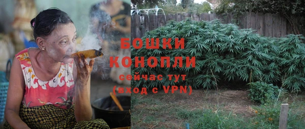 PSILOCYBIN Зерноград