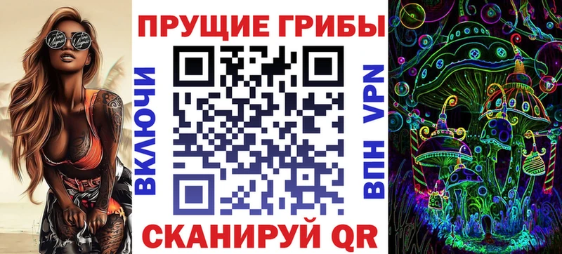 Галлюциногенные грибы Psilocybine cubensis  цены   Терек 
